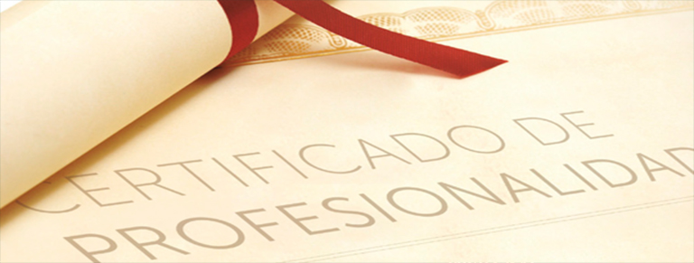 Repertorio Nacional de Certificados de Profesionalidad. 2015