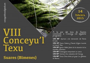VIII Conceyu'l Texu