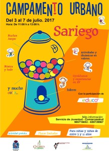 cartel campamento sariego 2017