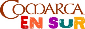 comarca en sur logo jpg