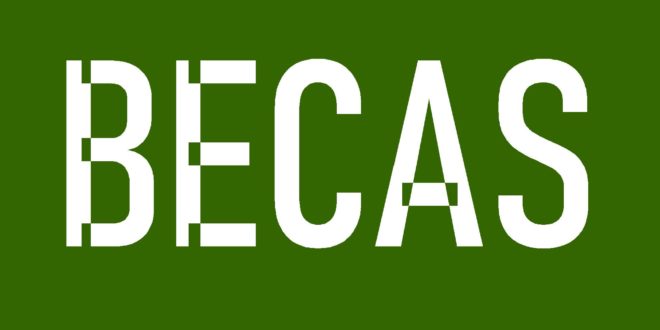 ¿En modo «BUSCANDO BECAS»?