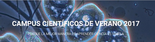 Ocio y ciencia en los Campus Científicos de Verano Ocio y ciencia en los Campus Científicos de Verano