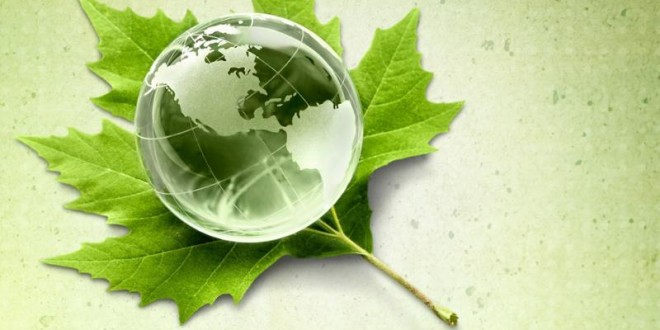 Cursos on line de educación y gestión ambiental Cursos on line de educación y gestión ambiental