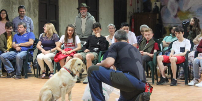 Educación y habilidades caninas en El Llagar. «La película»