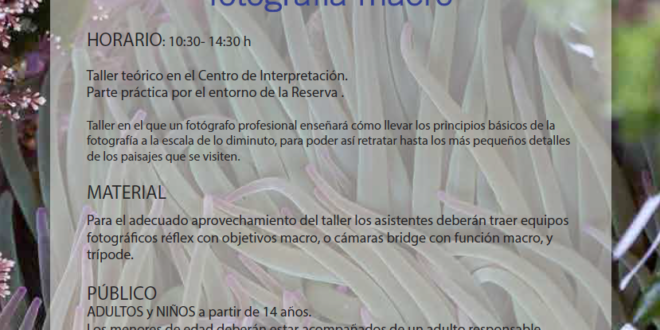 Día Mundial del Turismo en la Ría de Villaviciosa. Aprende a fotografiar la naturaleza Día Mundial del Turismo en la Ría de Villaviciosa. Aprende a fotografiar la naturaleza