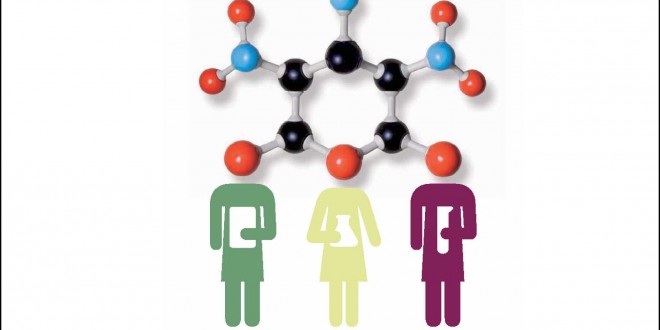 Jóvenes Investigadores 2016 Jóvenes Investigadores 2016