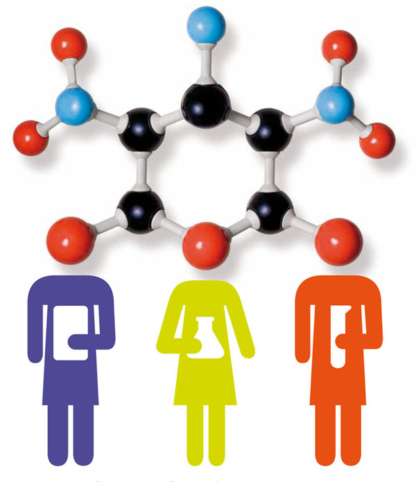 Certamen Jóvenes Investigadores 2016 Certamen Jóvenes Investigadores 2016