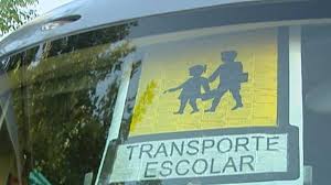 Ayudas individualizadas en materia de transporte escolar